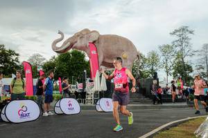 BIB: 
                            <button type="button" onclick="openModal(26528354)" class="btn btn-primary btn-sm float-right btn-popup" data-toggle="modal" data-target=".modal-high-quality">
                        <i class="fas fa-shopping-cart"></i> Add to Cart
                    </button>
                                            <button type="button" onclick="isThisMe(26528354, true)" class="btn btn-success btn-sm float-right btn-popup btn-isme hidden" data-toggle="tooltip" data-placement="bottom" title="นี่คือรูปของคุณใช่ไหม คลิกที่นี่เพื่อเอาเข้าอัลบั้ม">
                        <i class="fas fa-plus"></i> Add to album
                    </button>
                    <button type="button" onclick="isThisMe(26528354, false)" class="btn btn-warning btn-sm float-right btn-popup btn-isnotme hidden">
                        <i class="fas fa-ban"></i> Remove from album
                    </button>